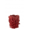 Vase piment rouge