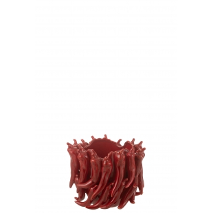 Vase piment rouge