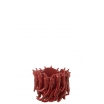 Vase piment rouge