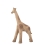 Belle girafe pour la terrasse